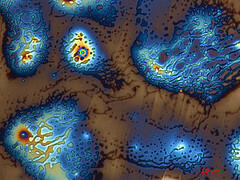 Cobalt nanoparticles
